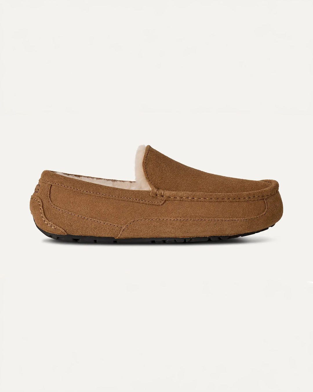 UGG Men's Ascot