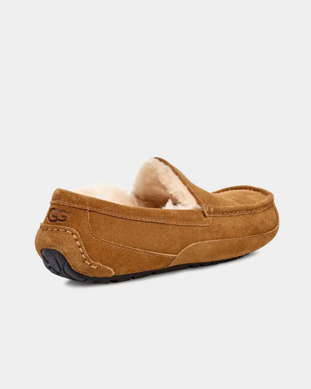 UGG M Ascot