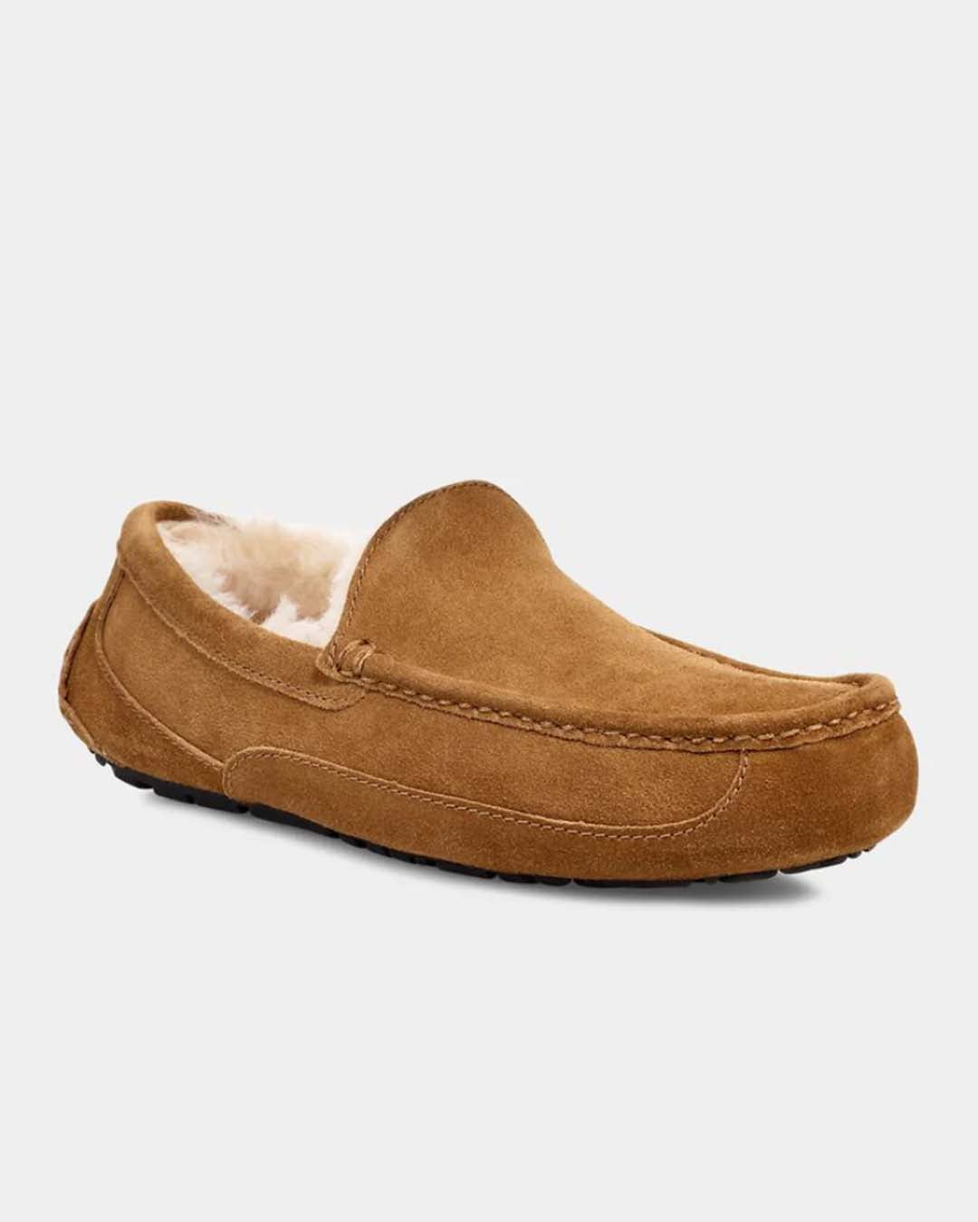 UGG M Ascot