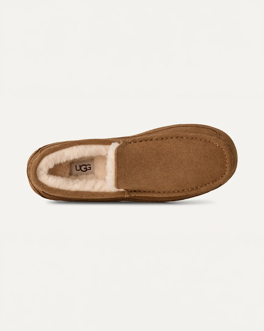 UGG Men's Ascot