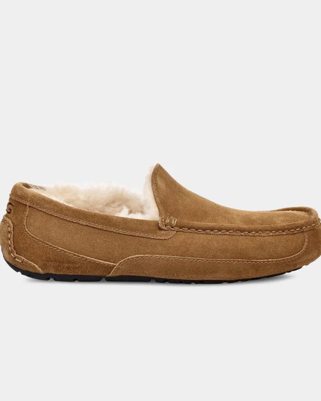 UGG M Ascot