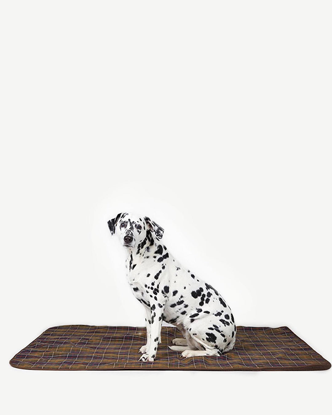 Barbour Large Dog Blanket