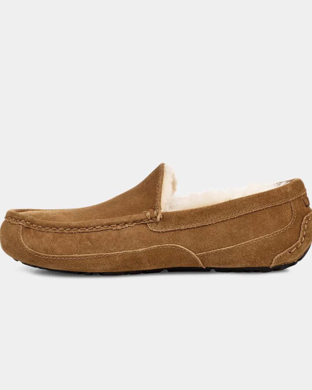 UGG M Ascot
