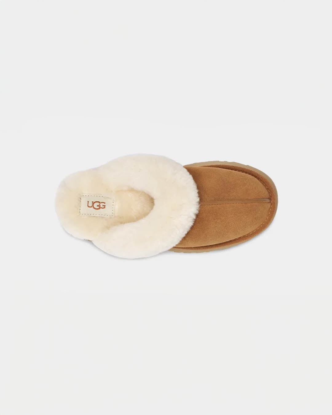 UGG W Disquette
