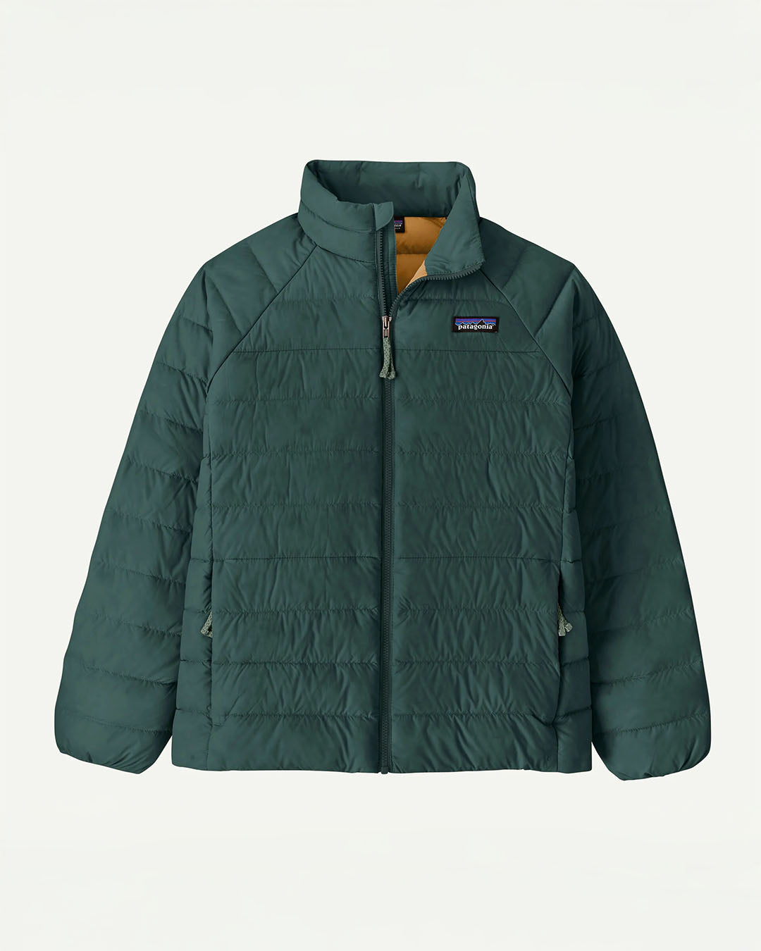 Patagonia Kids K's Down Sweater