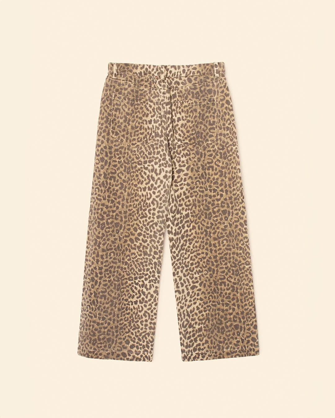 Xirena Nixon Pant