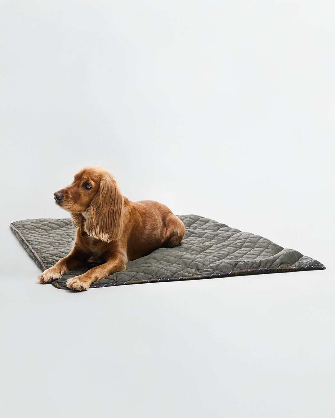 Barbour Dog Quilt & Fleece Blanket