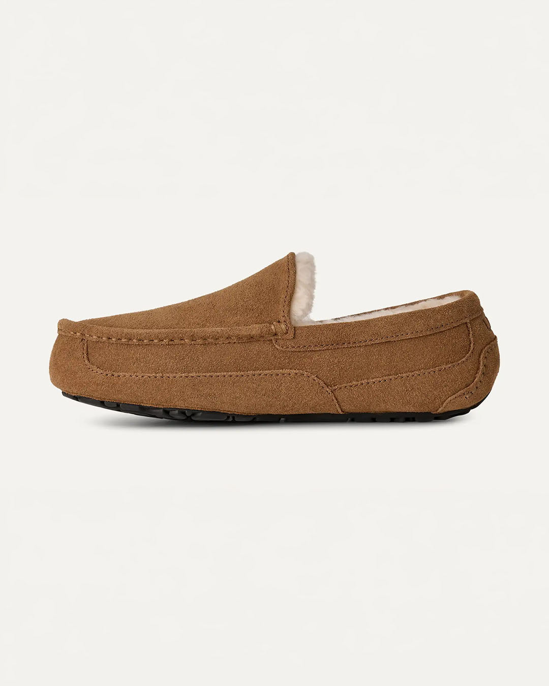UGG Men's Ascot