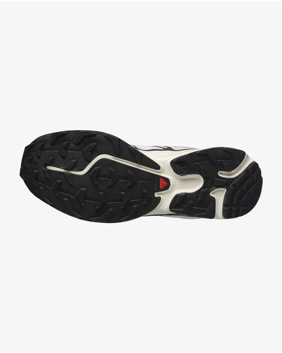Salomon XT-6