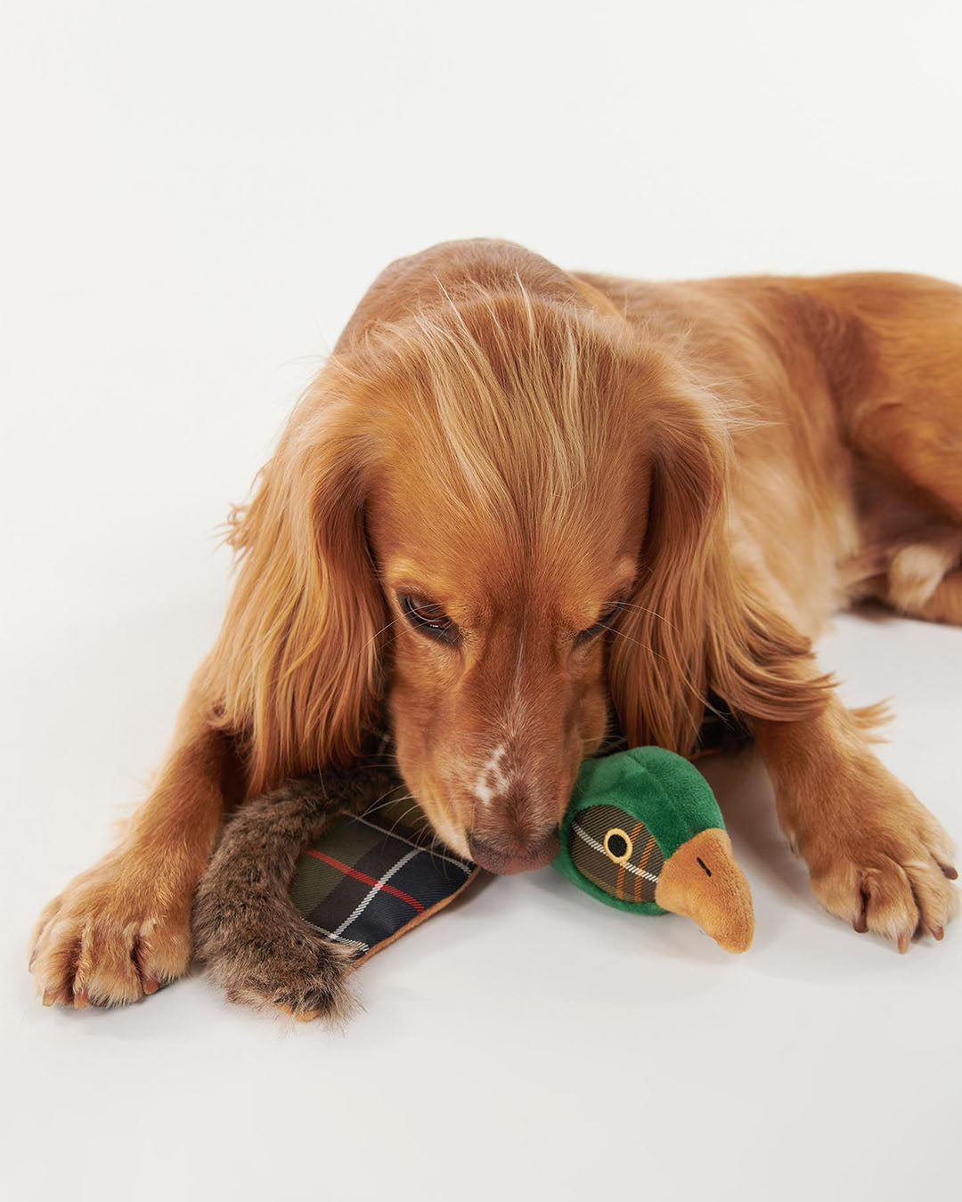Barbour Pheasant Toy