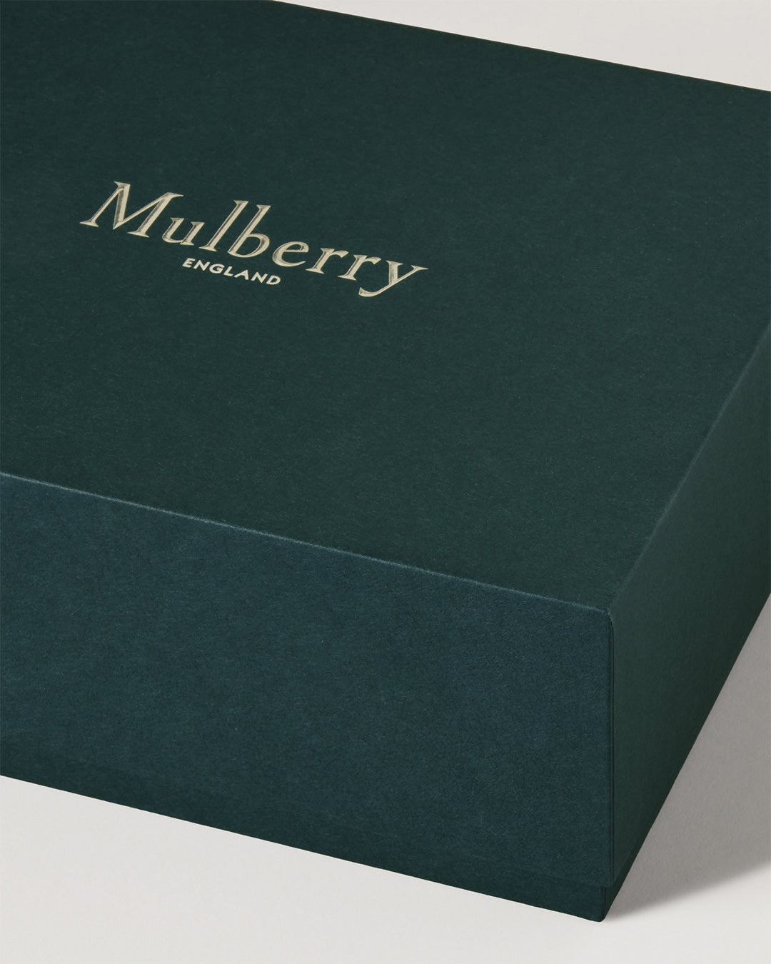 Mulberry Mulberry Plaque Small Zip Coin Pouch