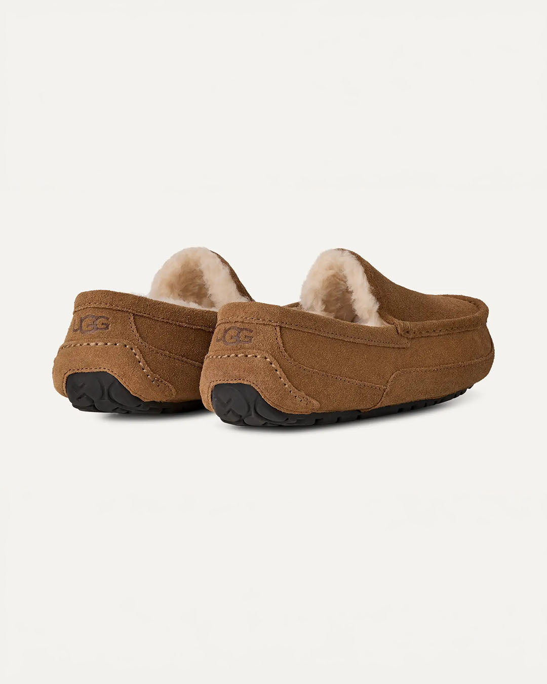 UGG Men's Ascot