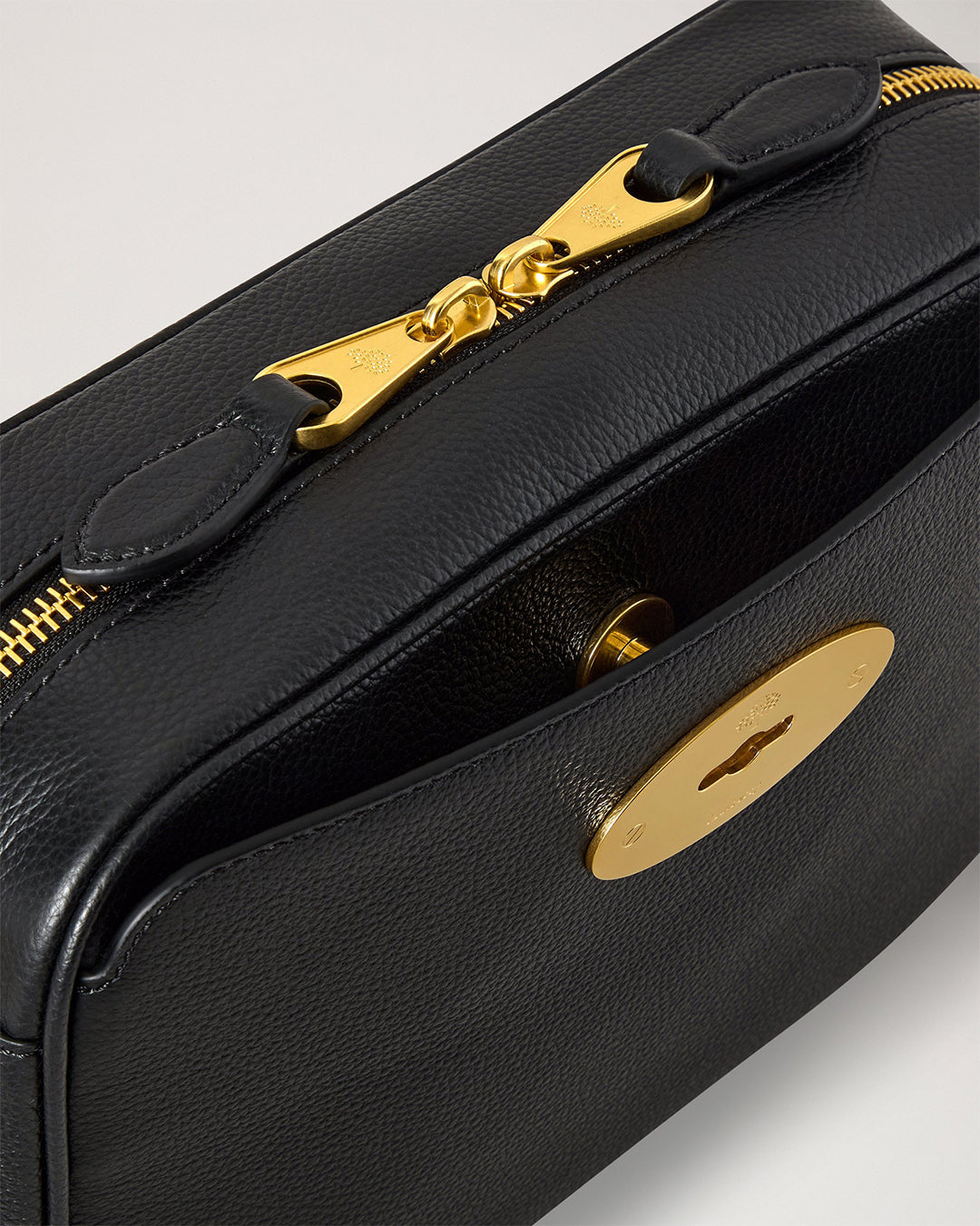 Mulberry Darley Camera Bag
