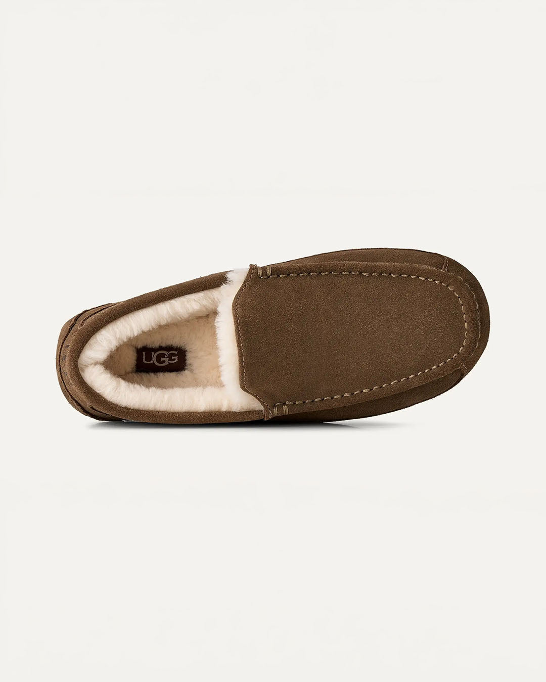 UGG Men's Ascot