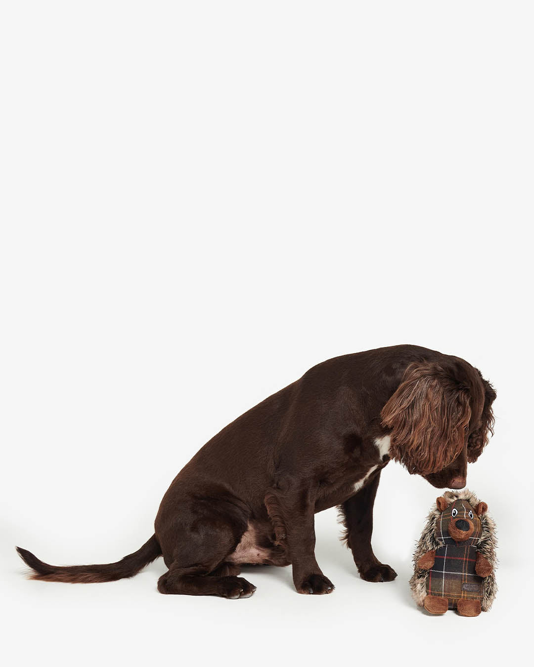 Barbour Dog Hedgehog