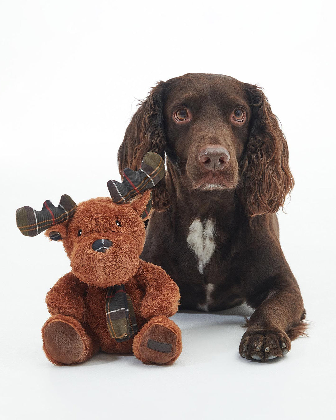 Barbour Reindeer Dog Toy