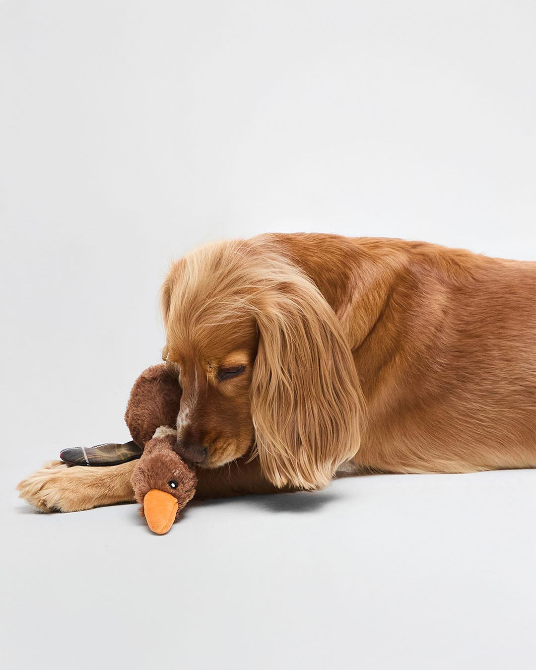 Barbour Dog Flying Duck