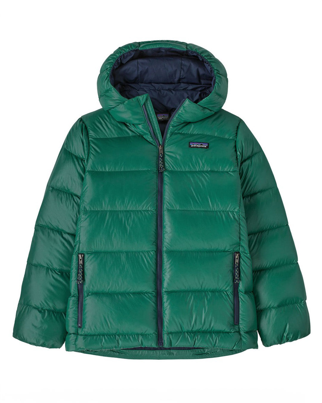 Patagonia Kids K's Hi-Loft Down Sweater Hoody