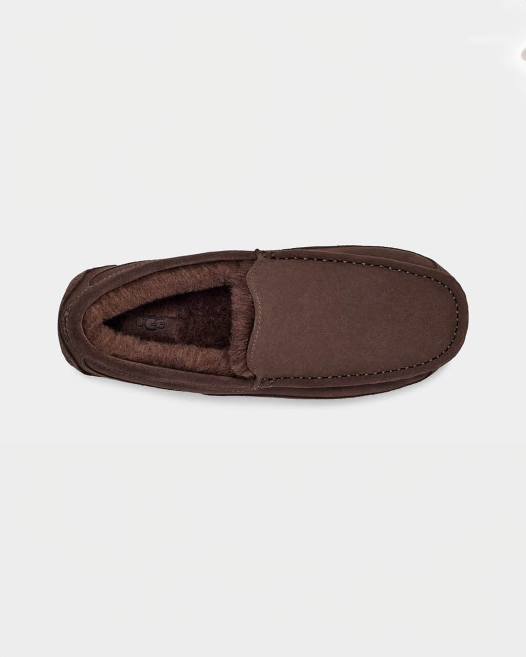 UGG M Ascot