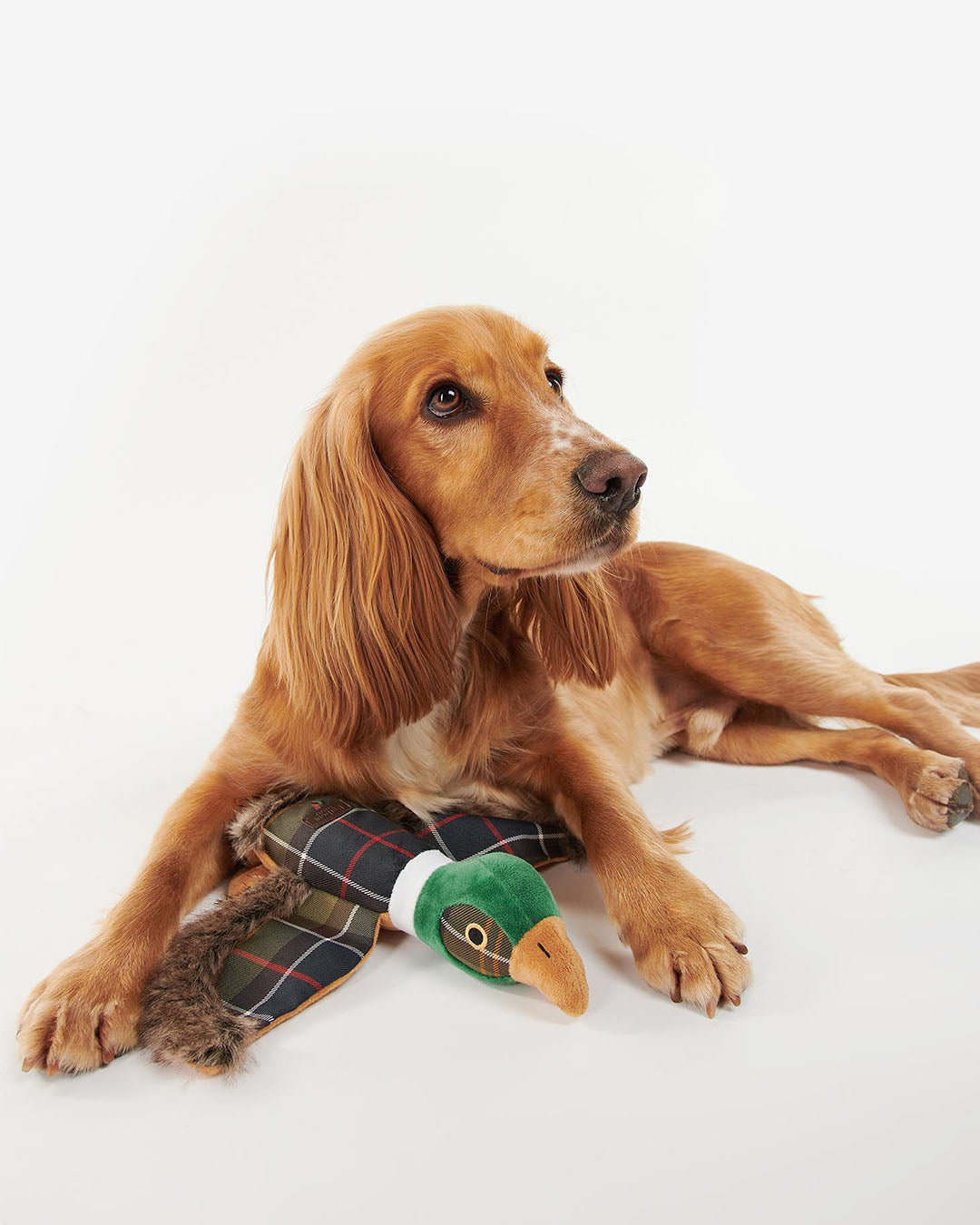 Barbour Pheasant Toy