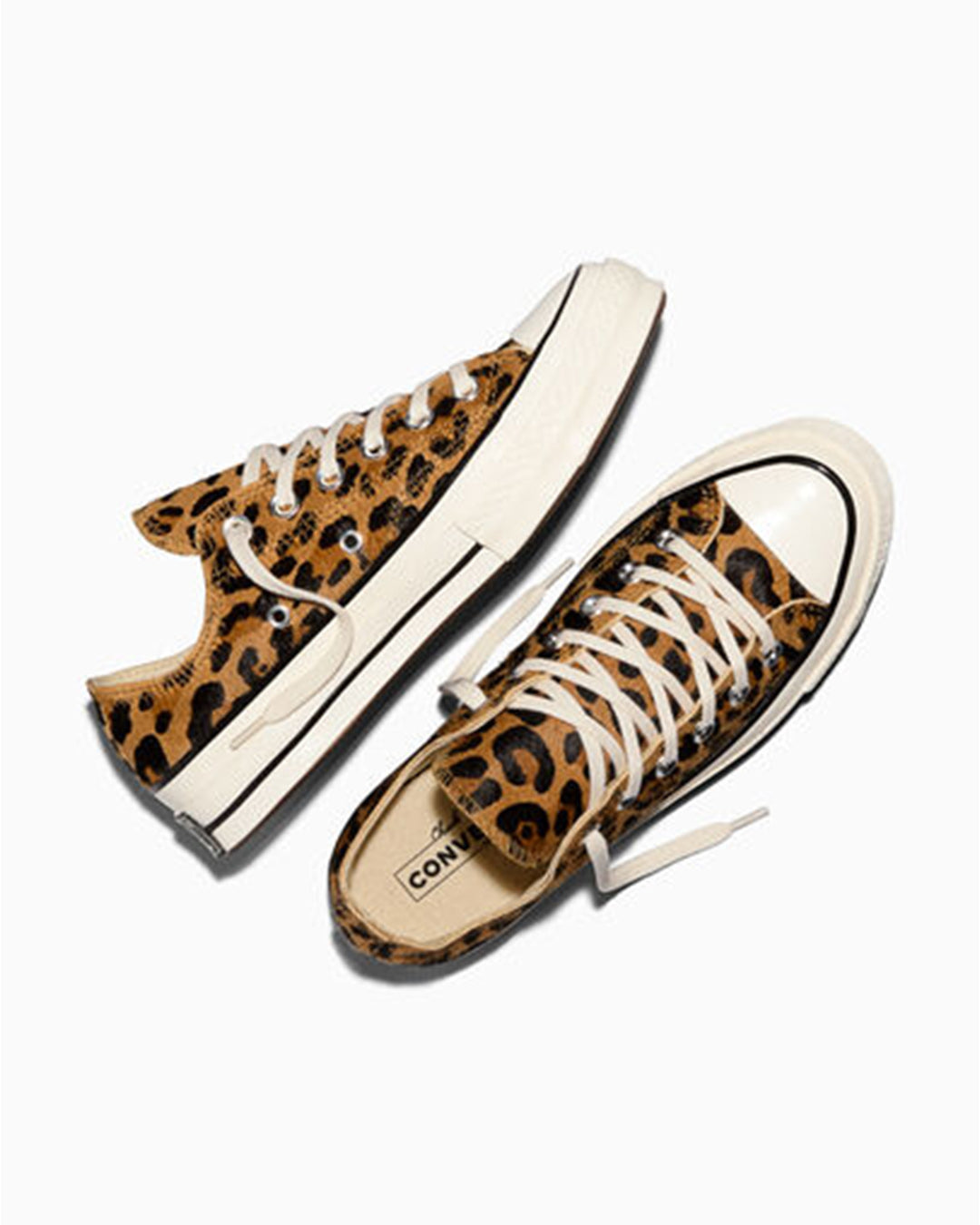 Converse Chuck 70 Low
