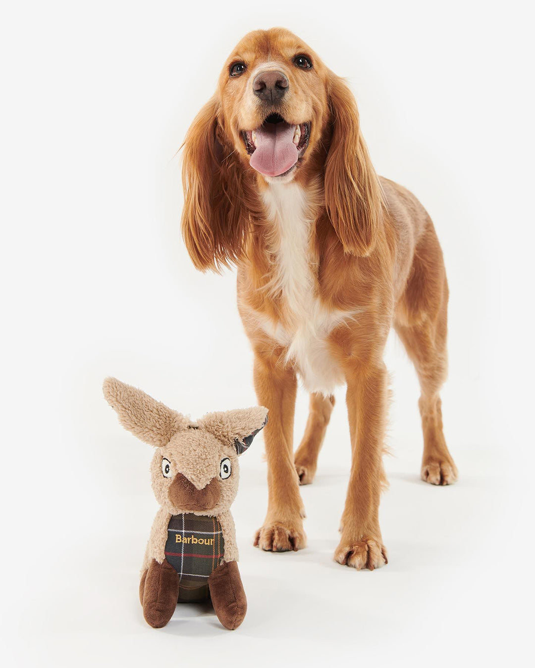 Barbour Rabbit Dog Toy